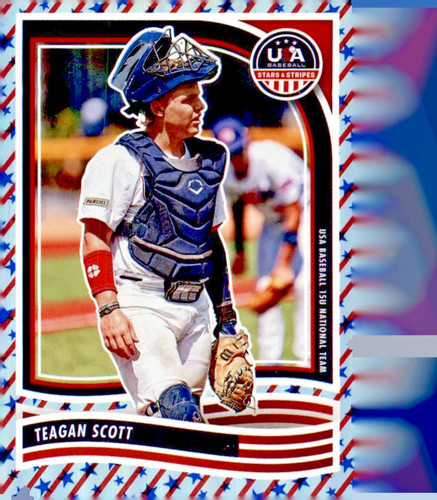 2024 panini stelle strisce - 2024, e
